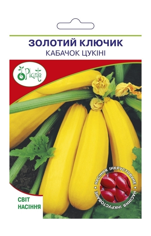 Насіння Кабачка Золотий ключик цукіні 15 г