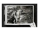 Гельмут Ньютон книга з фотографіями Helmut Newton. Legacy подарункові книги для фотографів з фотографії, фото 5