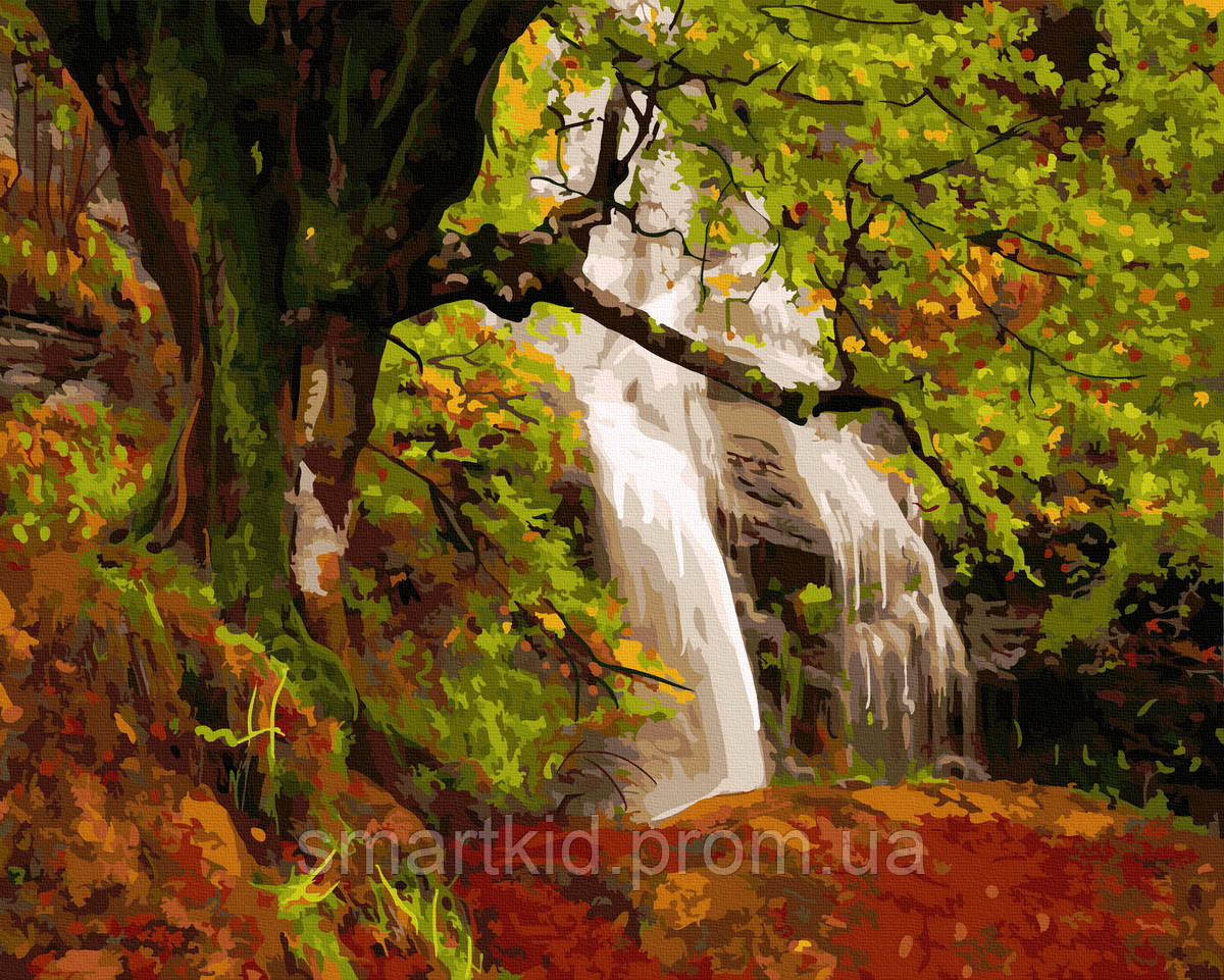 Картина по номерам 40х50 Осень в лесу