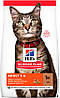 Hill's SP Feline Adult с ягненком и рисом, 3 кг