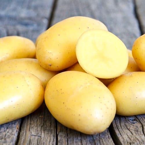 Насіннєва ультра-рання картопля "Рів'єра" (1 репродукція) 2,5 кг Голандія
