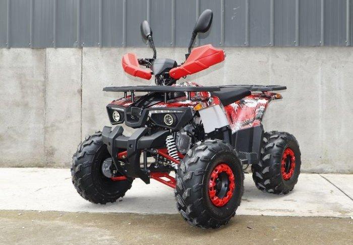 КВАДРОЦИКЛ FORTE ATV125L - фото 2 - id-p1605747492