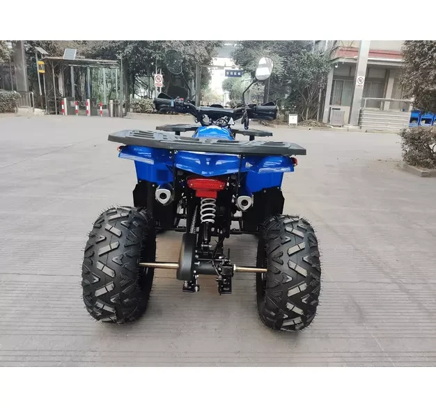 КВАДРОЦИКЛ FORTE ATV125B - фото 7 - id-p1605748799