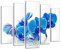 Модульная картина Цветы Синяя орхидея Art-266_5 ( 80х118см )