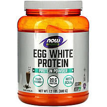 Яєчний протеїн