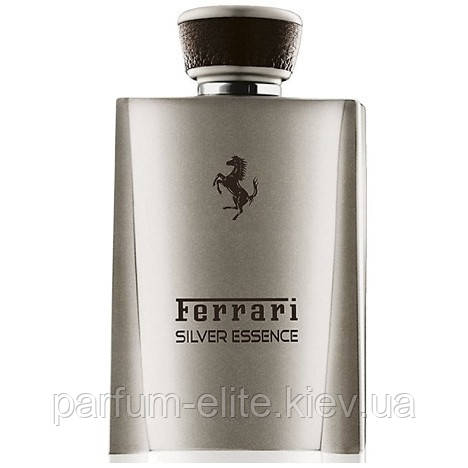 Мужская парфюмированная вода Ferrari Silver Essence 100ml - фото 3 - id-p258633077