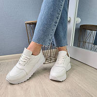 Женские белые кожаные кроссовки базовые размер 36-41 40