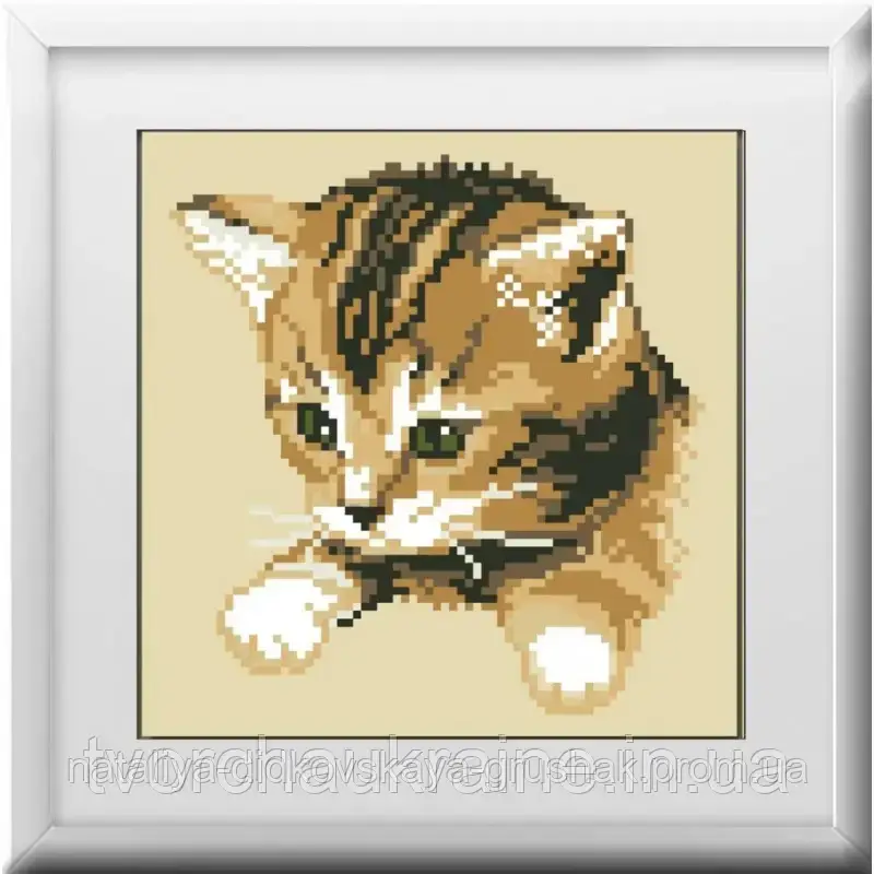 Кошеня. Набір алмазної живопису (квадратні, повна)