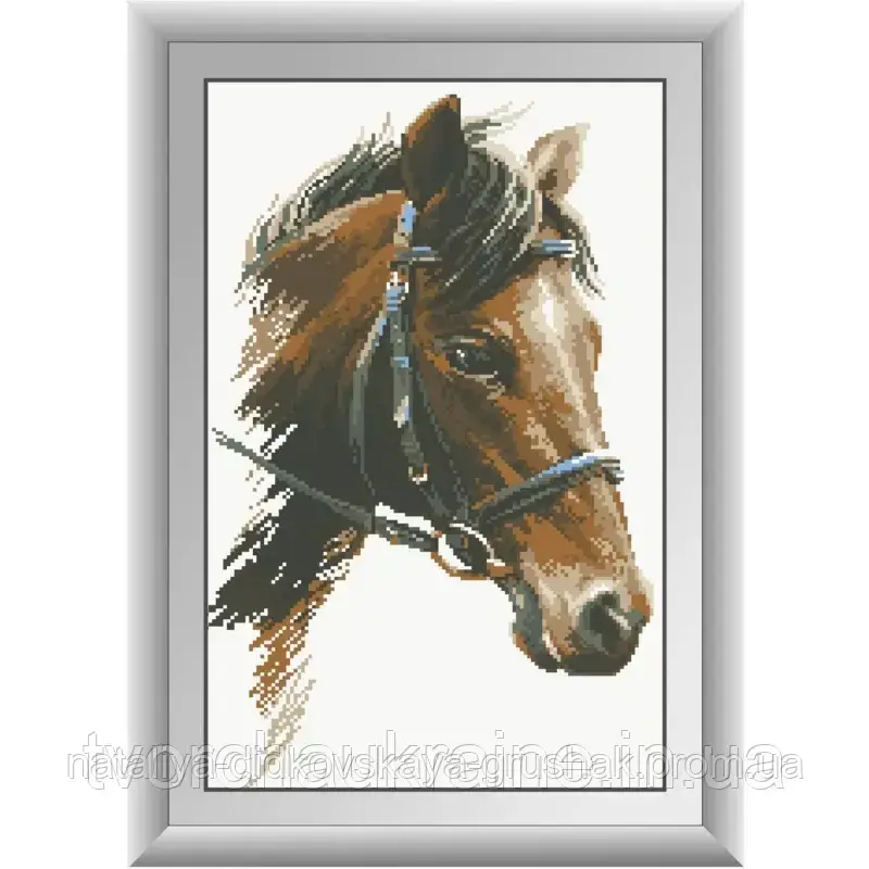 Кінь. Dream Art. Набір алмазної живопису (квадратні, повна) (D3936)