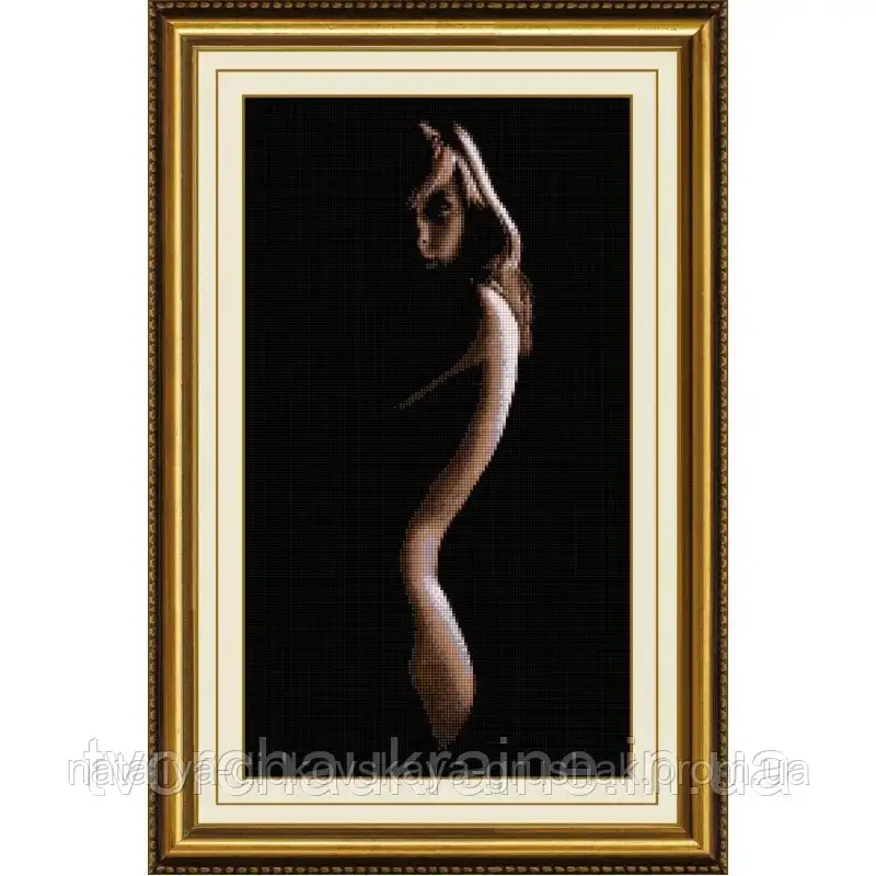 Силует. Dream Art. Набір алмазної живопису (квадратні, повна) (R3700)