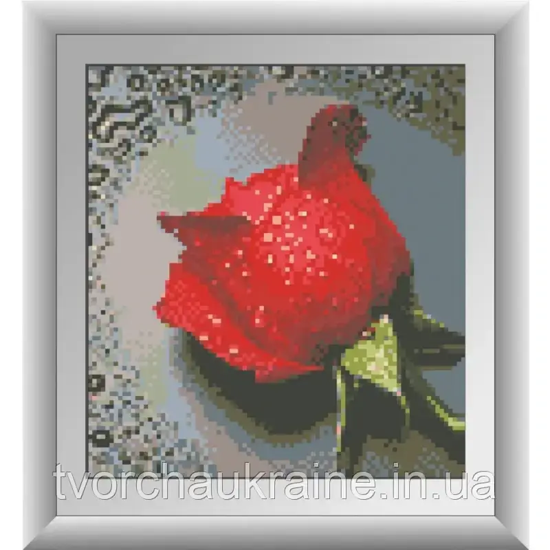 Роса на червоній троянді. Dream Art. Набір алмазної живопису (квадратні, повна) (68038) (7290)