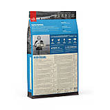 Orijen Original (Оріджен Оріджинал) Dog Adult Сухий корм для дорослих собак з індичкою і рибою 17 кг, фото 4