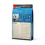 Orijen Original (Оріджен Оріджинал) Dog Adult Сухий корм для дорослих собак з індичкою і рибою 17 кг, фото 6
