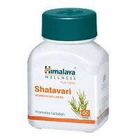 Шатаварі Хімалая, 60 таблеток, для жіночого здоров'я, Shatavari Himalaya