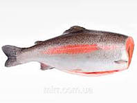 Форель 1,5-3 кг