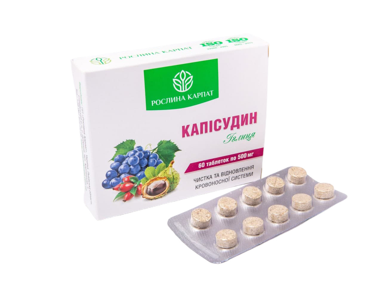 Капісудин 60 таб., фото 1