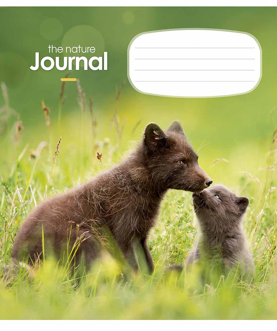 Зошит 12арк. кліт. Школярик "The Nature Journal" ВД-лак №012-3182K(30)(300)