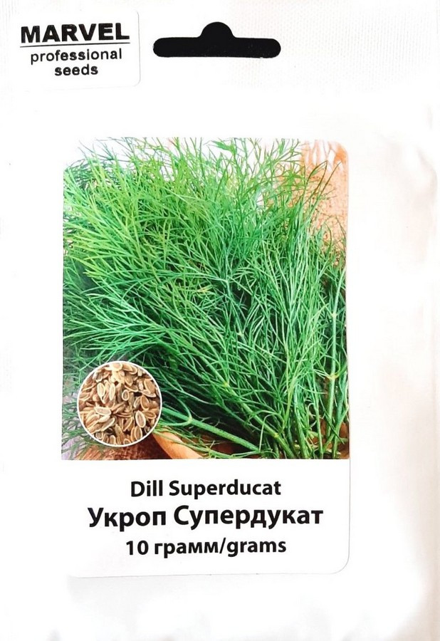 Насіння кропу Супердукат (Україна), 10гр.