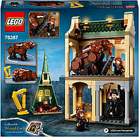 LEGO Harry Potter Гоґвортс: пухнаста зустріч 397 деталей (76387), фото 10