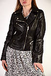 Жіночі куртки косухи оптом Wy Mode, лот - 10 шт. Ціна 30 Є, фото 6