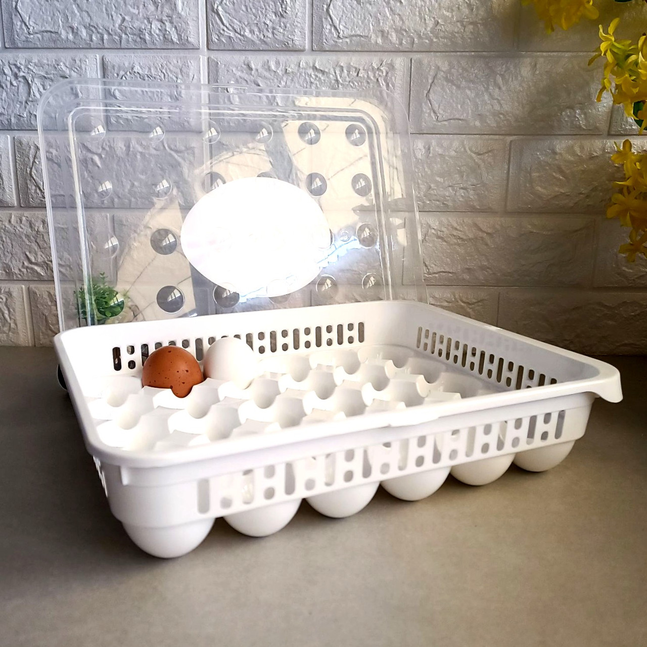 Пластиковий лоток для зберігання та транспортування яєць 30 шт