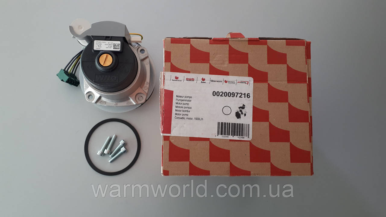 0020097216 Двигун насоса Protherm