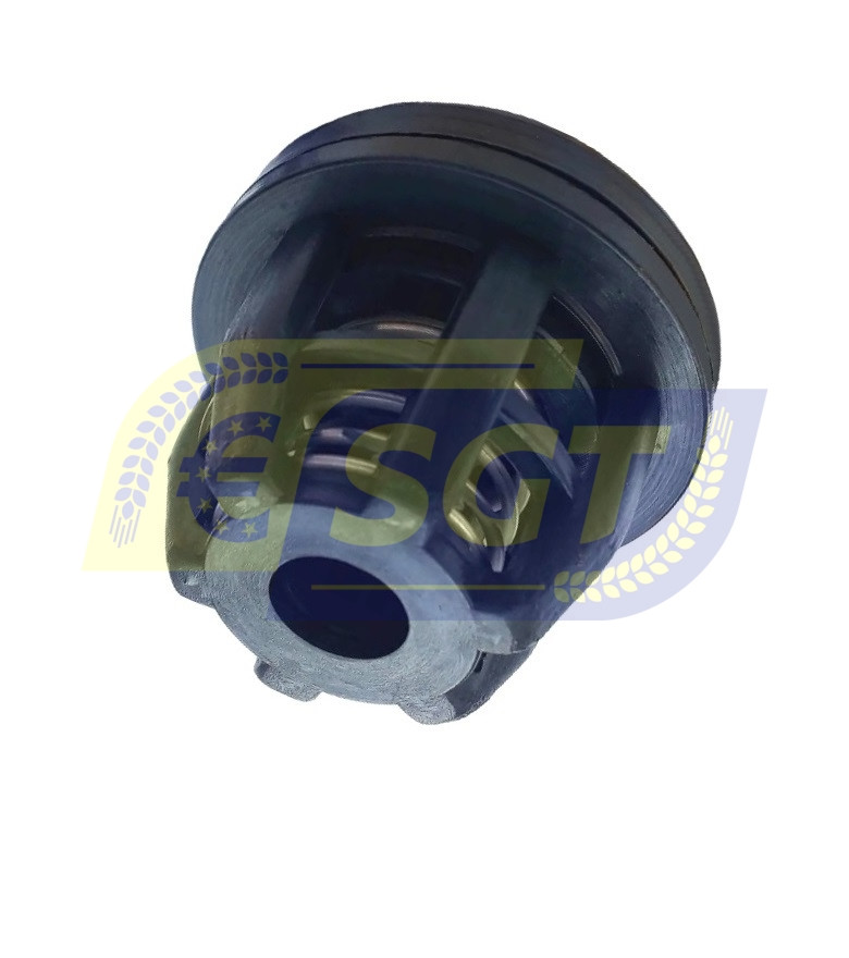 Клапан насоса Tad-Len P130, Zefirek, Tornado, фото 1