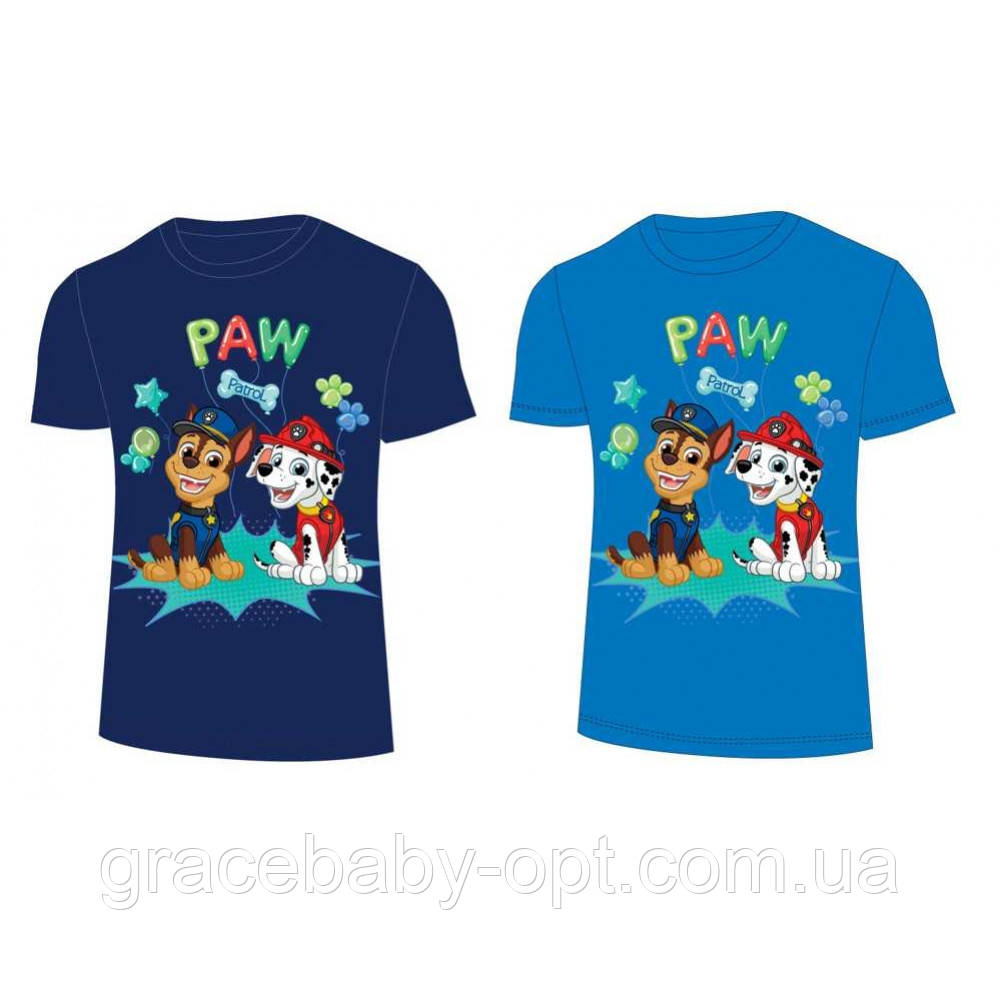 Футболки для хлопчиків оптом, Disney, 3-8 років, № PAW-GT-Shirt-248