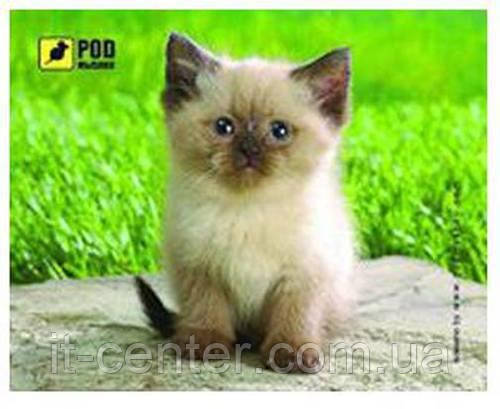 Килимок PODMYSHKU Сіамський котик зелено-бежевий, фото 2