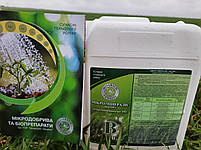 Нано-Минералис, РК Нанокарбоксилати (мг/л) - Cu - 120, Zn-220, Mg-1600, Mn-120, Co-100, Mo-50,Fe-160, Se-40, фото 3