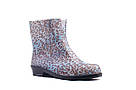 Жіночі гумові напівчоботи Леопард голубий, фото 4