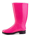 Жіночі гумові чоботи NEON Фуксія, фото 3