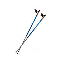 Скандинавские палки для ходьбы складные двухсекционные треккинговые 135 см. Tramp 138169