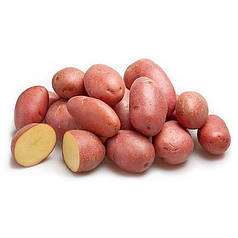 Семенной картофель Алюэтт 2,5 кг (1 репродукция)