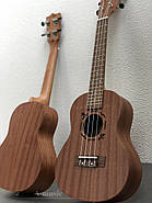 FLIGHT NUC310 УКУЛЕЛЕ КОНЦЕРТ, фото 3