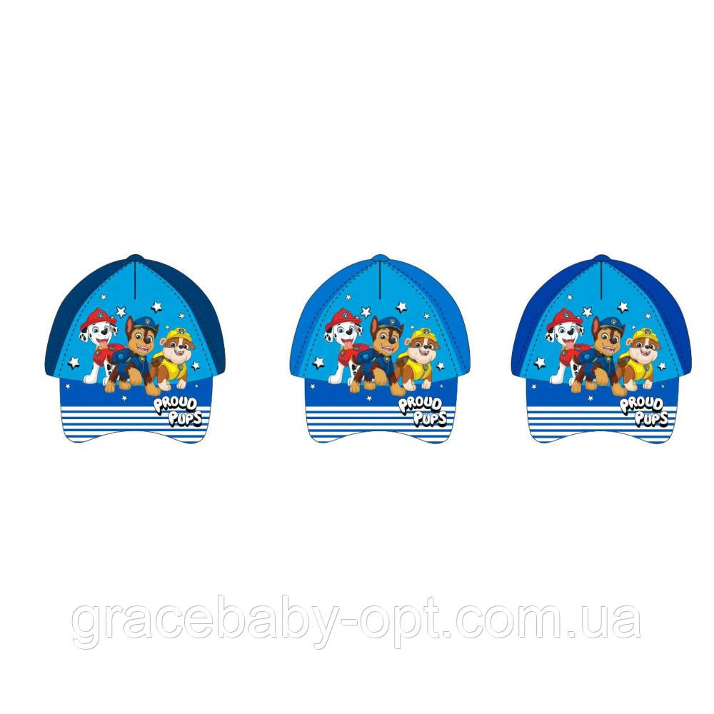 Кепки для хлопчиків оптом, DISNEY, 52-54 рр. № PAW-A-HAT-397