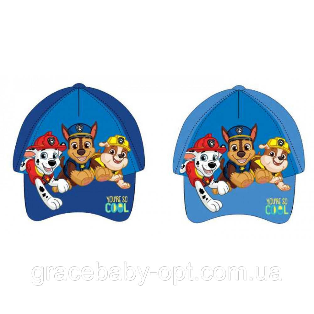Кепки для хлопчиків оптом, DISNEY, 52-54 рр. № PAW-A-HAT-396