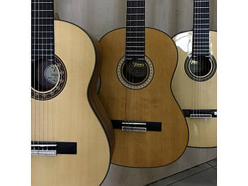 Класична гітара VALENCIA VC404