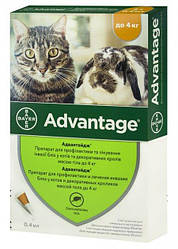 Адвантейдж від бліх для котів до 4 кг, 1піпетка
