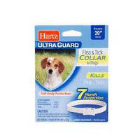 Ошейник Hartz UltraGuard для собак от блох и клещей 7 мес, 51см, белый