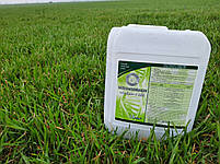 Листкове підживлення Пшениці Ячменю Минералис Зернові Mo-0,5 Mg-4 Mn-1 Cu-1,5 Co-0,5 Fe-1,4 Zn-1 В-0,3 N-5, фото 5