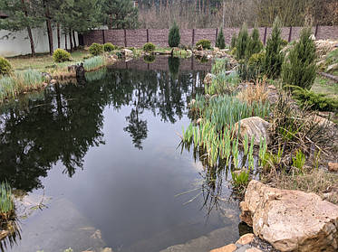 Весенний осетровий пруд