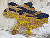 Мапа України на стіну з фанери та моху, фото 2