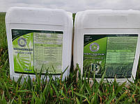 «Мікро-Мінераліс» «Аміно» + МО, фото 2