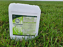 Стимулятор росту Мінералис Аміно. Стимулятор росту Мікро-Мінераліс Аміно+МЕ., фото 2