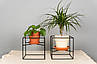 Металева підставка з проволоки для рослин Куб, фото 5