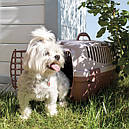 Переноска 48*32*31 см Gulliver 1 Green Line пластиковая дверь для собак и кошек, фото 4