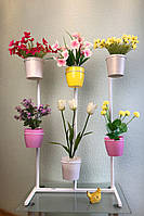 Підставка для квітів BeStand «ОРХІДЕЯ 100 з рухомими тримачами для орхідей" висота 103 см, колір білий.