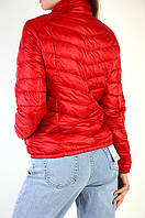 Оптом куртки женские Fly, лот - 4 шт. Цена: 38 Є 3