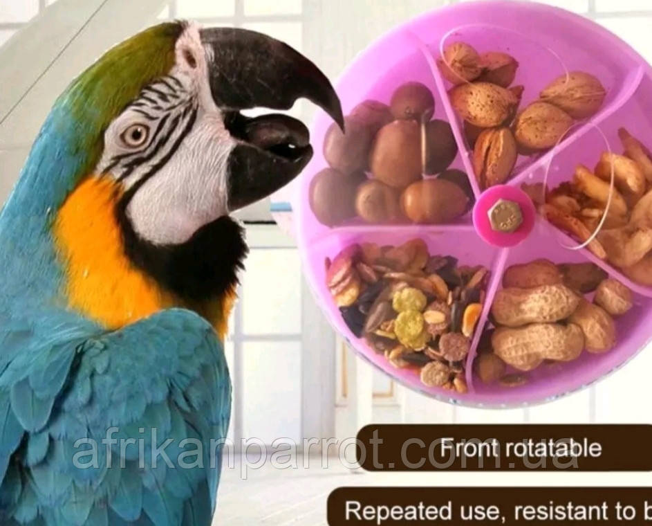 Годівниця-іграшка 13*3, фото 1